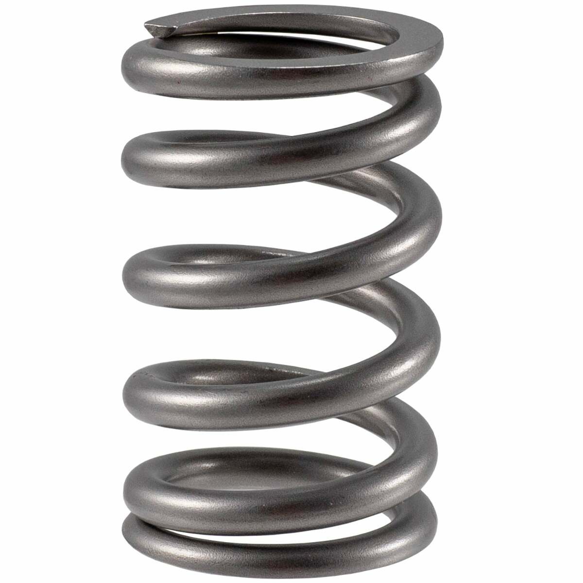 Melling Select Performance 466484 High Performance Valve Spring