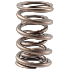 Melling Select Performance 466834 High Performance Valve Spring