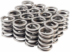 Melling Select Performance 46901-16 High Performance Valve Spring