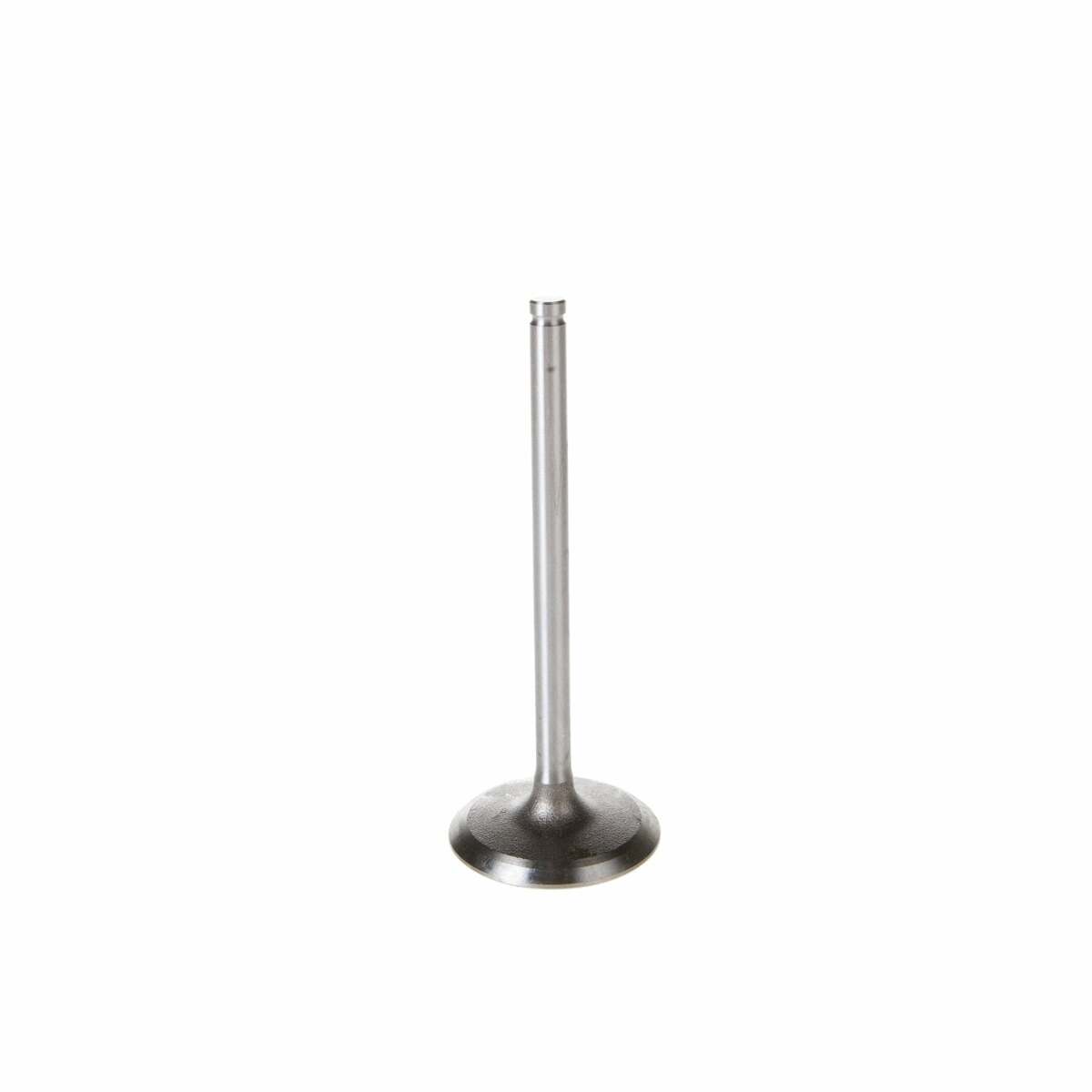 Melling V1557 Stock Replacement Intake Valve