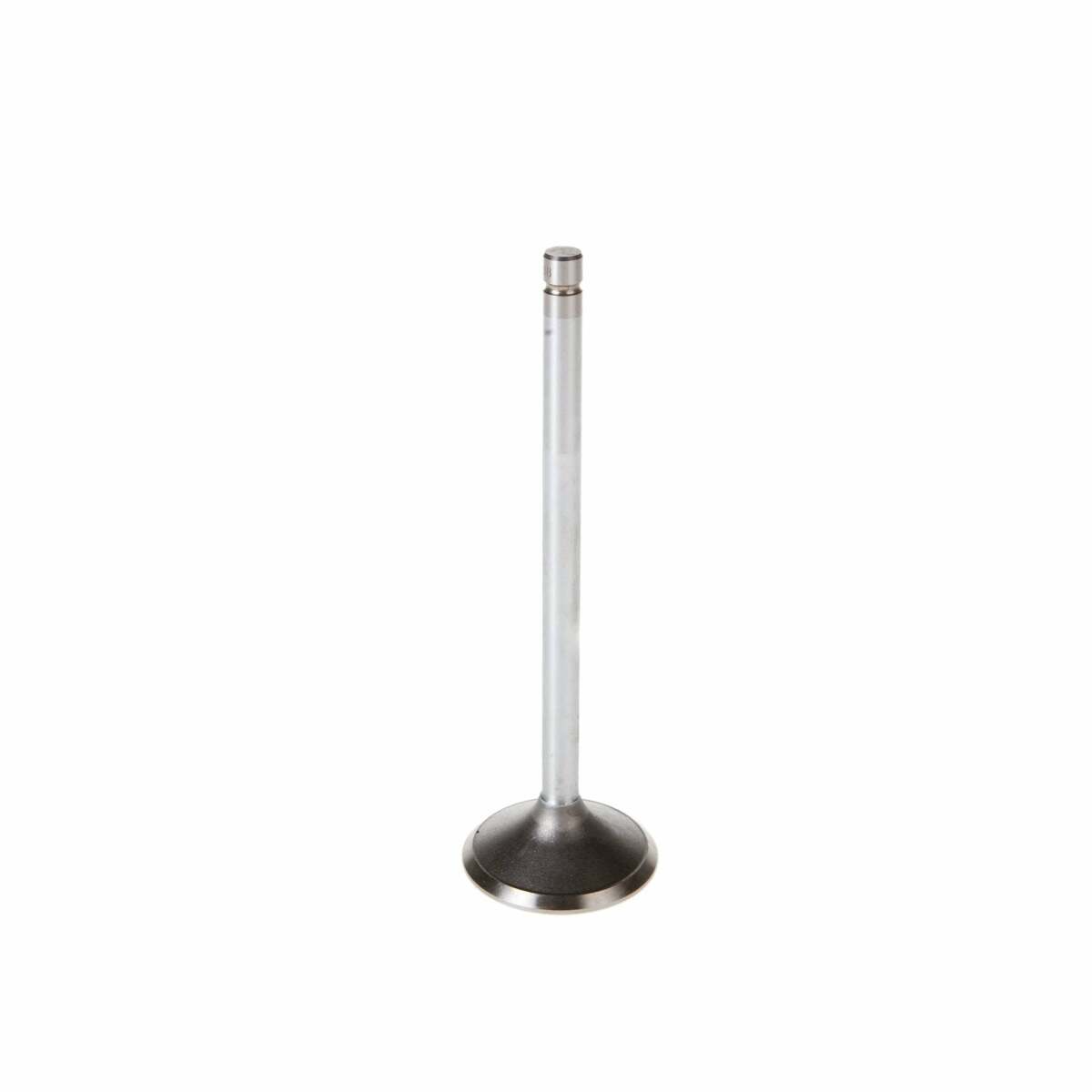 Melling V1569 Stock Replacement Intake Valve