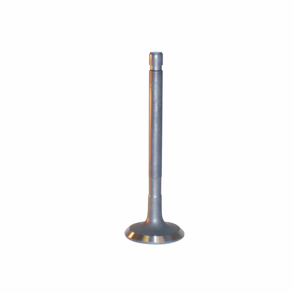 Melling V5336 Stock Replacement Exhaust Valve