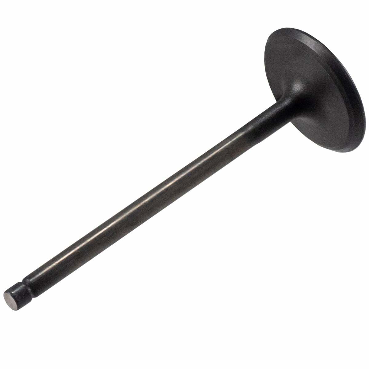 Melling V5569 Stock Replacement Intake Valve