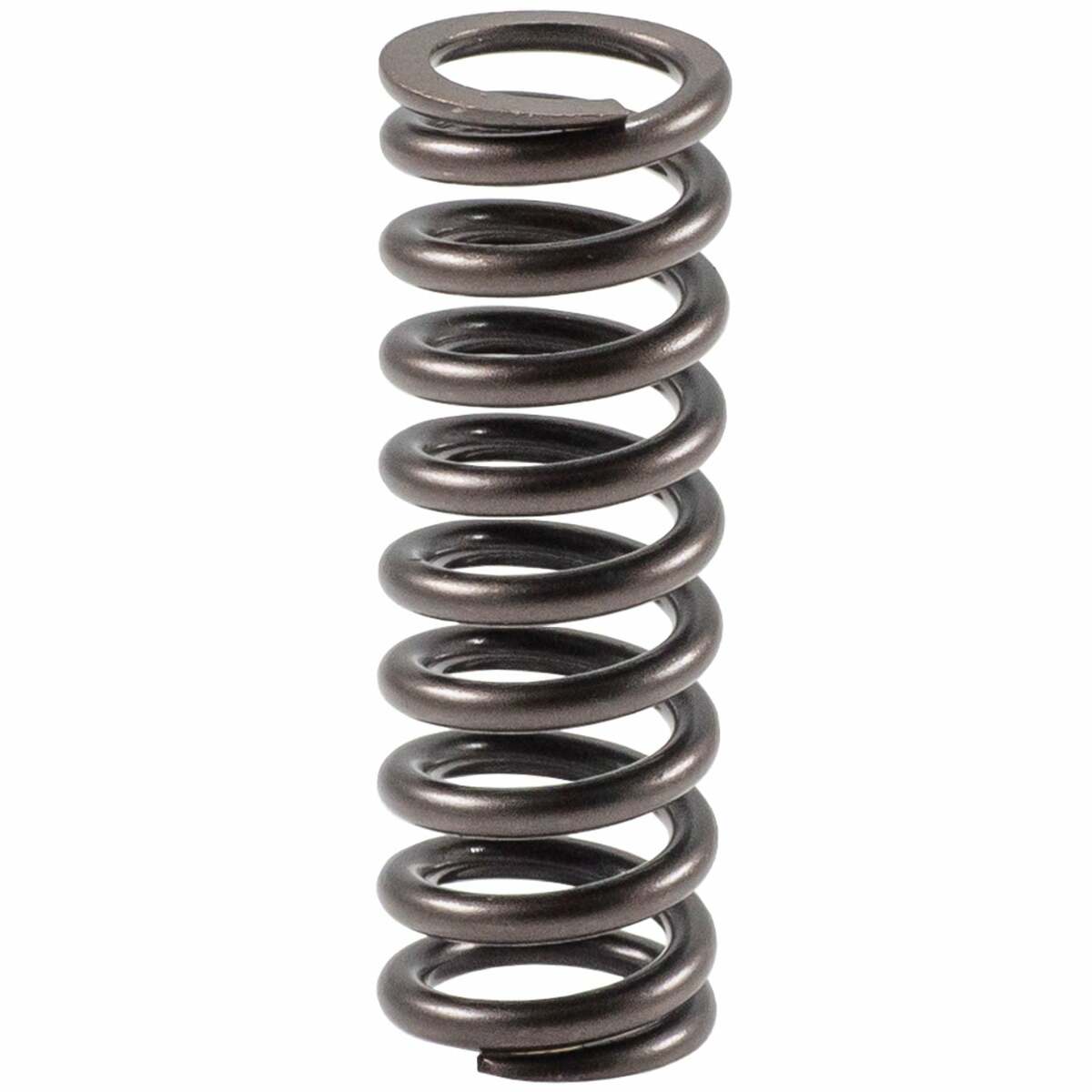 Melling VS-1619 Stock Replacement Valve Spring