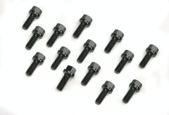 Mr. Gasket 976 HEADER BOLT,KIT 5/16 X 3/4