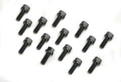 Mr. Gasket 976 HEADER BOLT,KIT 5/16 X 3/4