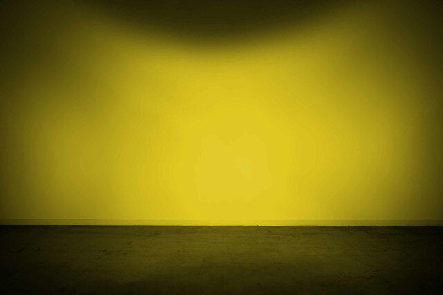 Morimoto Lens Only: 4Banger (Yellow / Flood / Each) BAF206