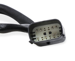 MSD Performance 22791 Harness, LS, 24x/1x, Rear Cam Sensor