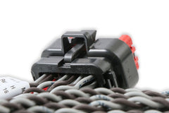 MSD Performance 80001 Harness,Main,Coil,Replacement,8000
