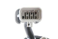 MSD Performance 80002 Harness,LS-Input,Can,Replacement,8000