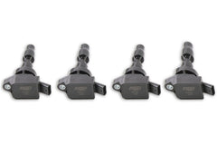 MSD Performance 826943 Blaster Direct Ignition Coil Set