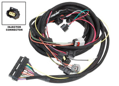 MSD Performance 88864 Harness, 6013 to Late Hemi 06-UP