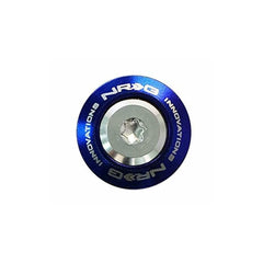 NRG Innovations Fender Washer Kit Titanium Series M6 Size (Fits 10mm Bolts) - Rivets for Plastic FW-200TS