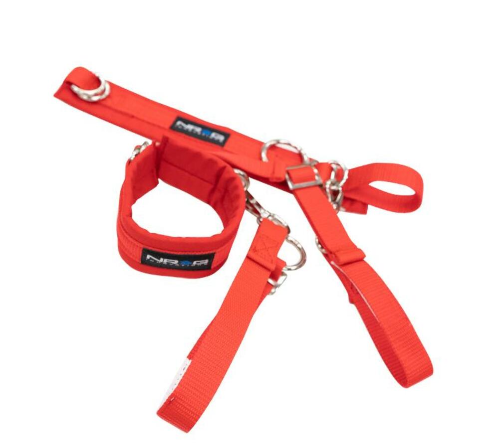 NRG Innovations SFI Spec 3.3 Arm Restraints SBH-AR01RD