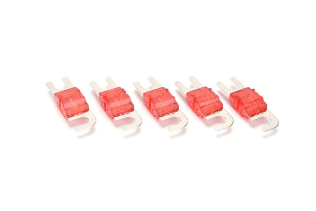 ORION MINI ANL 50 AMP 5 FUSES PACK MA50