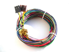 Painless 21001 Engine Harness only for 20102 w/o bulkhead connector-11 Circuits