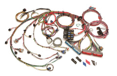 Painless 60217 Fuel Injection Harness/Std. Length