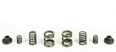 Pacbrake Engine Speed Governor Spring For 94-98 Ram 2500/3500 W/P7100 Injection Pump HP10029