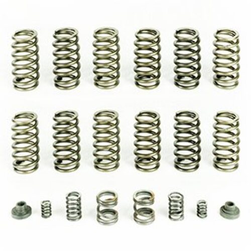 Pacbrake Spring 12 HD Valve Springs For 94-98 Ram 2500/3500 W/ P7100 Injection Pump HP10245