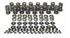 ProMaxx Performance Products | Valve Spring Kit | PN. 8501
