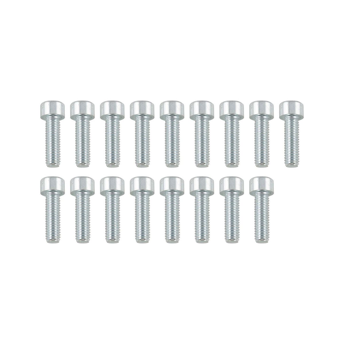 PPE Diesel Bolt pack M6-1.0x20mmL (17) 114052003