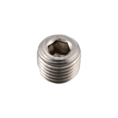 PPE Diesel 1/4 NPT Plug SS 128051006