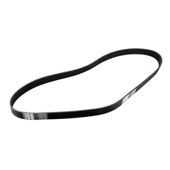 PPE Diesel Serpentine Belt 213001454