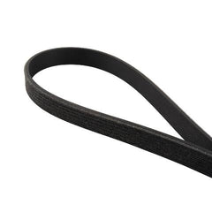 PPE Diesel Serpentine Belt - 2011-2023 Ford 5.0/5.2L Mustang 6 Rib A/C Belt 6PK851  313060335