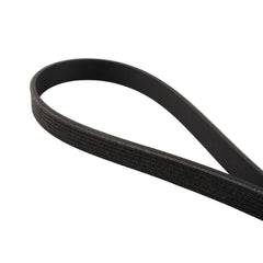 PPE Diesel Serpentine Belt 313060675