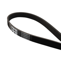 PPE Diesel Serpentine Belt 313060675