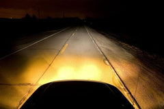 Putco 230100JY Jet Yellow H1 - Halogen