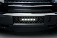 Putco 85182L EcoBoost Grille Black Stainless Steel Diamond and 10 inch Luminix Light Bar