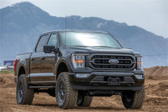ReadyLIFT RL 21-24 FORD F-150 6 BIG FALCON PREM 42-21640