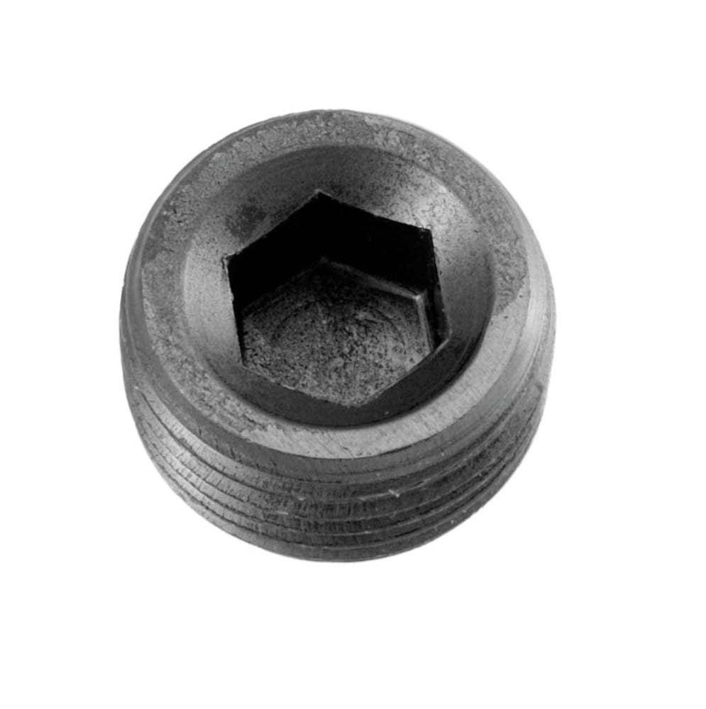 Redhorse Performance 932-04-2 -04 (1/4in) NPT hex head pipe plug - black - 2/pkg