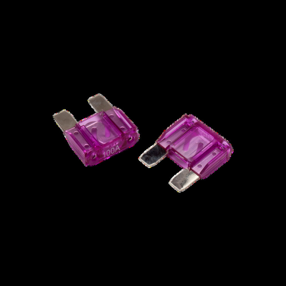 Rockford Fosgate 100 amp Maxi fuse 2 Pack platinum finish M100