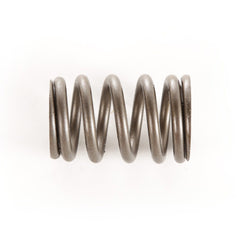 Omix-ADA 17402.10 Valve Spring