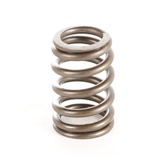 Omix-ADA 17402.10 Valve Spring