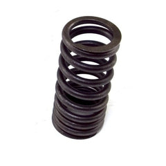 Omix-ADA 17409.01 Intake Spring