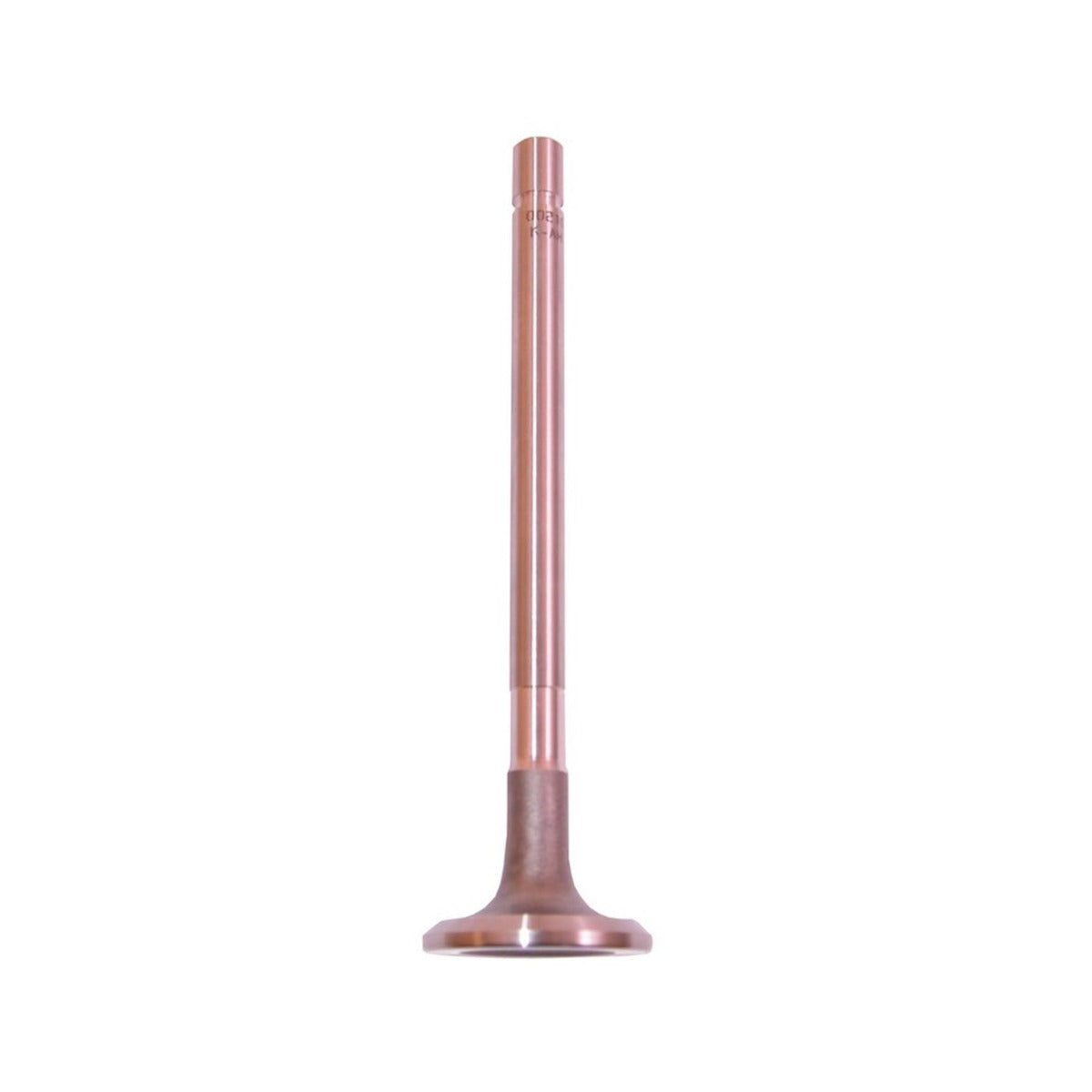 Omix-ADA 17415.13 Exhaust Valve
