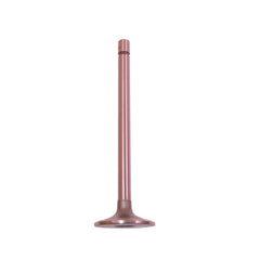 Omix-ADA 17417.13 Intake Valve