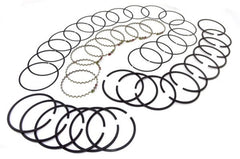 Omix-ADA 17430.35 Piston Ring Set Std, 6.6L