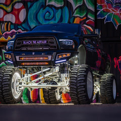 RIGID Industries Radiance+ RGBW Pod Lights, Pair 202053