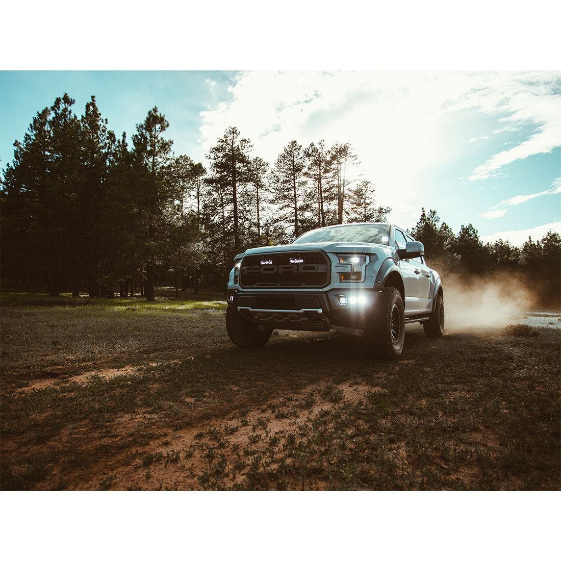 RIGID Industries 41610 Fog Light Kit Includes Mounts and 6 D-Series