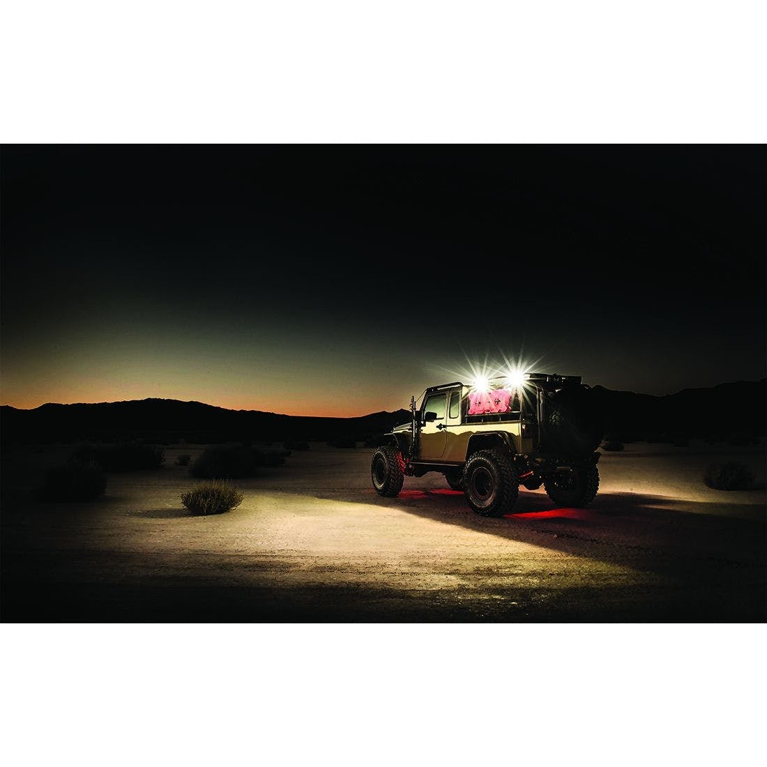 RIGID Industries 86610 1x2 65DEG DC SCENE LIGHT BLK