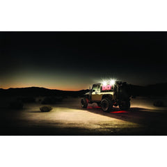 RIGID Industries 86610 1x2 65DEG DC SCENE LIGHT BLK