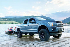 ReadyLIFT RL 15-20 FORD F-150 6'' BIG FALCON PREM 42-25640