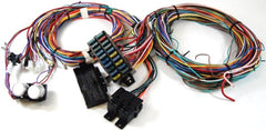 Racing Power Company R1002 Universal (20)circuit wire harness kit
