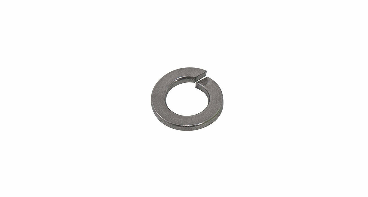 Rhino-Rack W019-BP M8 Spring Washer (Stainless Steel) (10 Pack)