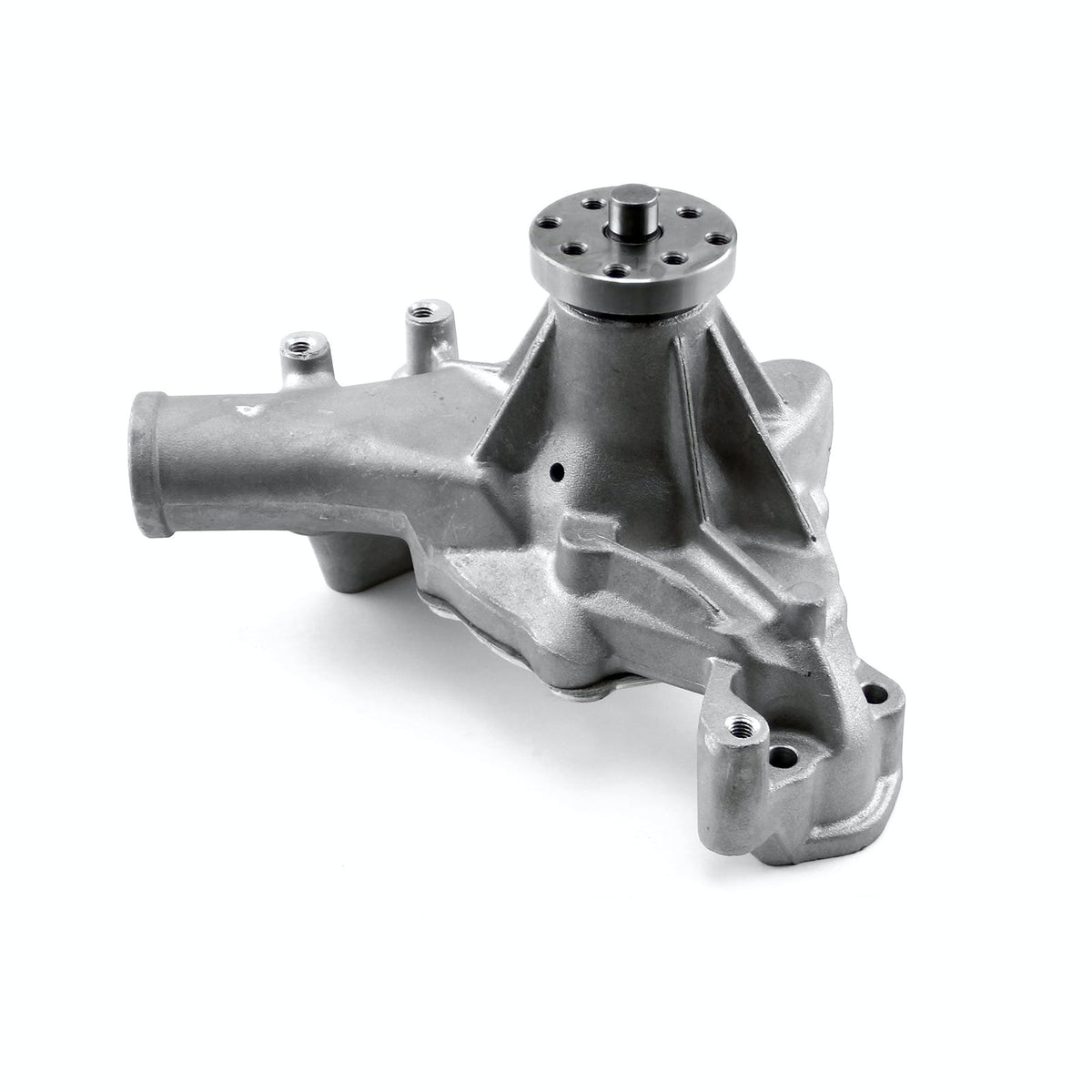 Speedmaster PCE195.1005 High Volume Aluminum Long Water Pump Satin