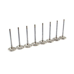 Speedmaster PCE273.1007 2.055 +100 11/32 Stainless Steel Intake Valves